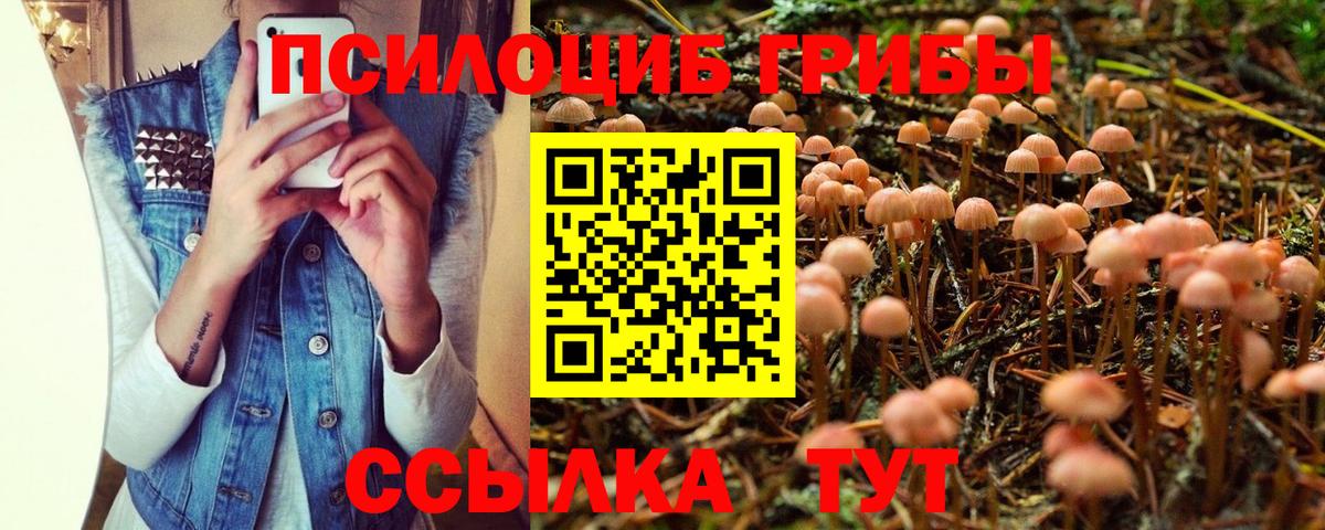 Псилоцибиновые грибы ЛСД Елабуга